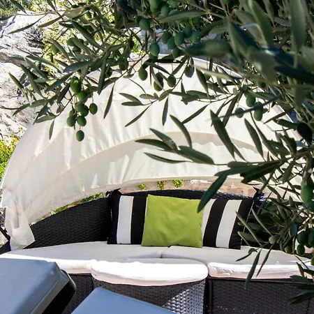 House Ston أوروبيتش